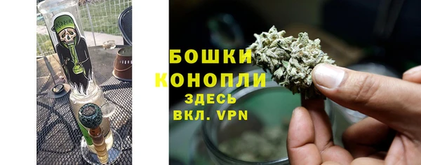 мет Дмитриев